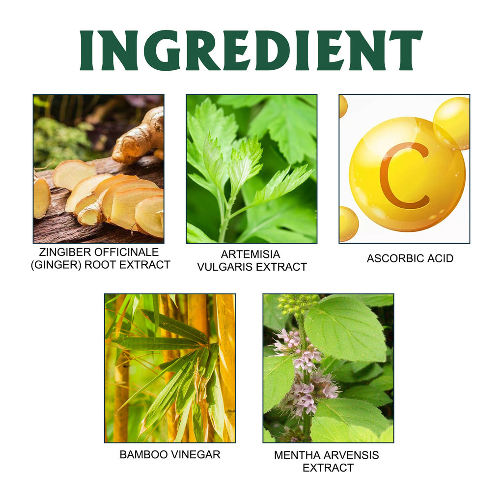 Herbal Foot Patches – Ginger and Mugwort Extracts